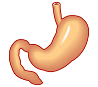 ピロリ菌の除菌方法